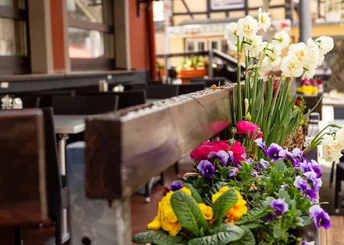 Otel Zur Post Gmbh 3*